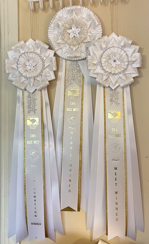 Lei Ideas, Horse Ribbons, Award Ribbons, Puppy Day, Ribbon Rosettes, Pet 1, Horse Show, Ribbon Art, Dog Party