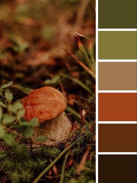 Green To Brown Color Palette, Orange Brown Colour Palette, Color Palette Brown Green, Green And Brown Colour Palette, Mushroom Color Palette, Green Brown Color Palette, Green And Brown Palette, Brown And Green Color Palette, Green And Brown Color Scheme