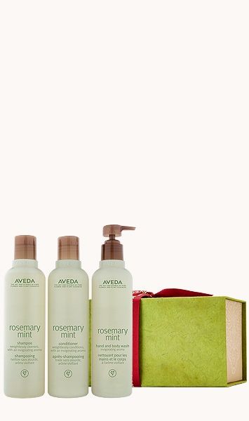 rosemary mint gift set Aveda Rosemary Mint, Rosemary Mint Shampoo, Products For Hair, Mint Shampoo, Performance Hairstyles, Hair Care Gifts, Hair Care Products Professional, Hair Gift, Rosemary Mint