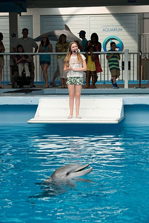 54 Winter The Dolphin, Dolphin Tale 2, Dolphin Trainer, Clearwater Marine Aquarium, Dolphin Tale, Dolphin Tail, Bottlenose Dolphin, A Dolphin, Beautiful Sea Creatures