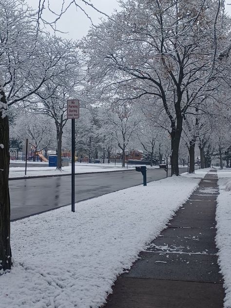 Snow winter December holidays pretty nature outside Midwest Winter Aesthetic, Midwest Christmas, Winter Nostalgia, Midwest Winter, Winter Core, Hate Winter, Dark Beach, Cozy Places, York Travel