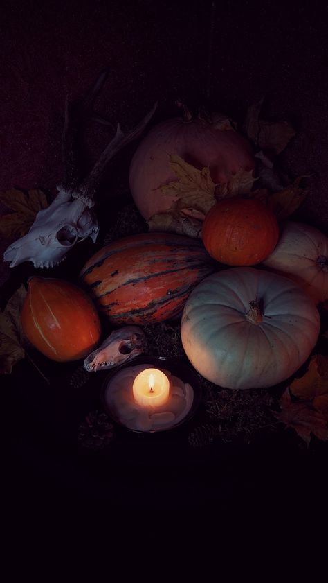 Samhain aesthetic photo, dark and moody. Pumpkins, candles and animal skulls. Celebration of Halloween, autumn leaves, darkness, night, witchy, bewitching Samhain Aesthetic Pagan, Samhain Nails, Samhain Aesthetic, Autumn Lockscreen, Happy Samhain, Pagan Calendar, Pagan Holidays, Autumn Wine, Witch Core