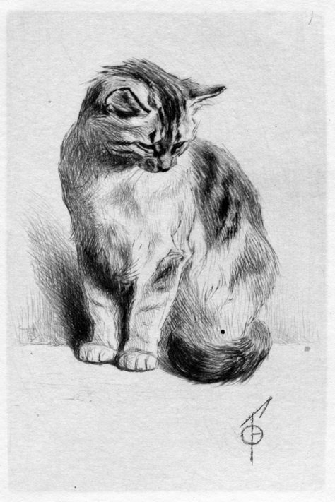 Cat Drawing Detailed, Cat Drawings Sketches, Cat Drawing Pencil, Cat Ink Drawing, Cat Drawing Sketches, Sketches Animals, Cat Draw, Cats Art Drawing, Cute Cat Drawing