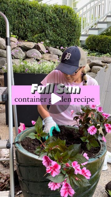 Summer Planters Full Sun, Full Sun Plants For Containers, Full Sun Planter Ideas, Potted Plants Full Sun, Full Sun Planters, Flowers Full Sun, Kimberly Queen Fern, Full Sun Annuals, Deer And Rabbit