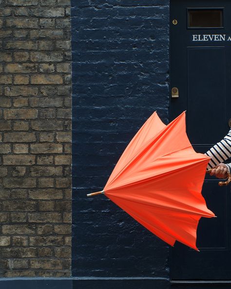 Umbrella Photoshoot, Transparent Umbrella, Typography Design Quotes, Paper Umbrella, Orange Umbrella, Building Aesthetic, Infographic Powerpoint, Paper Umbrellas, Umbrella Art