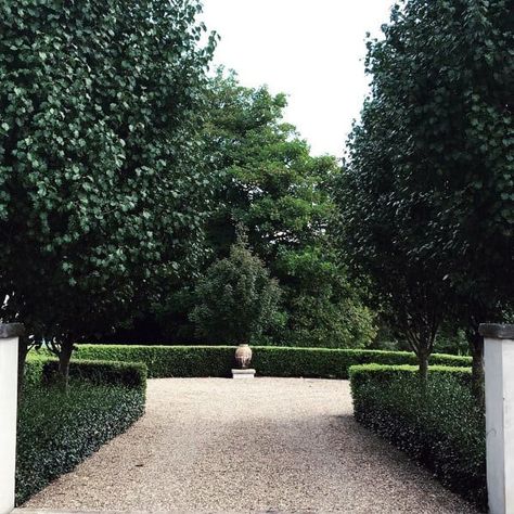 Gravel Driveway Ideas, Landscape Design Front Yard, Driveway Inspiration, Pebble Driveway, Landscaping Gravel, Hedge Ideas, Front Yard Landscape Design, Hedges Landscaping, Yard Landscape Ideas