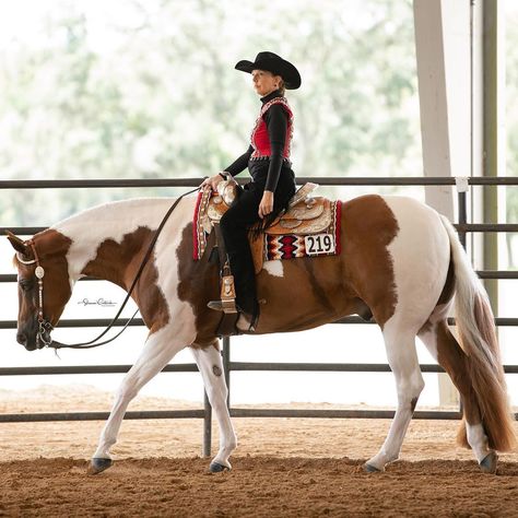 Sunshine State Open Pleasure Show at the Florida Horse Park Horse Schooling, Western Pleasure Aesthetic, Horse Show, Aqha Western Pleasure, Western Pleasure Outfit, Western Horsemanship, Ranch Riding, Horse Reining, Aqha Horses