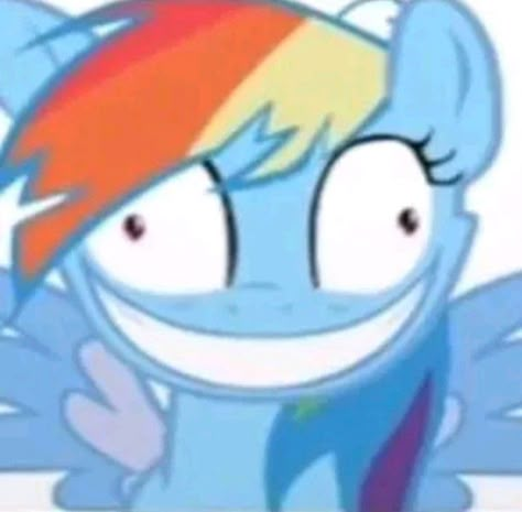 Mlp Funny Pfp, Mlp Emojis, Mlp Reaction Images, Funny Mlp Pics, Mlp Pfp Rainbow Dash, Mlp Reaction Pics, Funny My Little Pony, Rainbowdash Icon, Rainbow Dash Cute