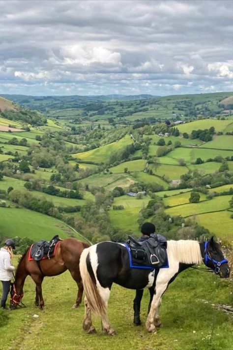 Horse riding holiday in Wales English Trail Riding, Horseback Riding Aesthetic, Irish Sport Horse, England Countryside, Horse Trail, Horse Aesthetic, British Countryside, Sport Horse, Equestrian Life