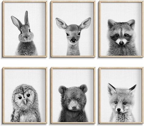 Amazon.com: EPHANY Black and White Wall Art, Baby Animal Posters and Prints, Safari Bunny Prints, Nursery Bear Wall Art, Owl Print Wall Art Nordic Picture Kids Room Decoration (YMX017,8"x10"(20x25cm)) : Baby Pig Wall Art, Animal Canvas Paintings, Painting Nursery, Woodland Nursery Wall Art, Bear Wall Art, Nursery Paintings, Baby Animal Prints, Owl Print, Popular Art