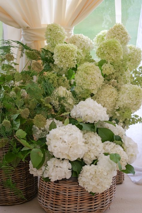 Mood Board: Napa Valley meets English Garden vibes! ✨🌿 Think rustic wine country elegance meets timeless Cotswold charm. White and green florals, lush greenery, and statement trees for that wowfactor. Step into this dreamy setup at Ebrington Manor @ebringtonmanor, where the marquee entrance is just the beginning! Swipe to see more from this stunning English marquee wedding. #thewaytobloom #ebringtonmanor #weddingflorals #marqueewedding #marqueeweddingdesign #marqueeweddingentrance #ma... English Garden Flowers Wedding, English Manor Wedding, English Cottage Wedding, Marquee Entrance, English Garden Wedding Theme, Topiary Wedding, Lauren Mitchell, White And Green Florals, Center Peices