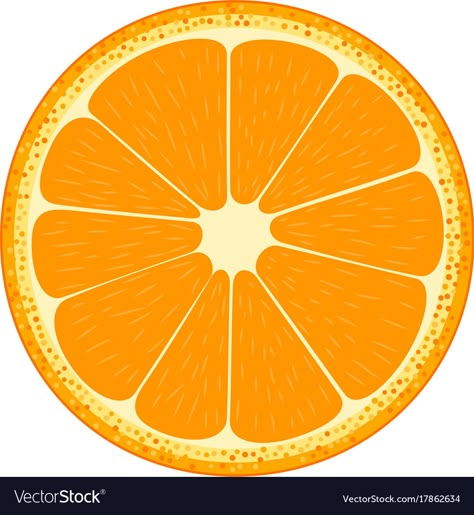 Orange Images, Fruit Images, Orange Illustration, Orange Vector, Lemon Crafts, Orange Craft, Scrapbook Letters, Fruit Icons, Fruit Orange