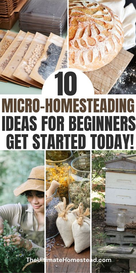 Think homesteading is only for big spaces? Think again! Micro homesteading for beginners is perfect for anyone, whether you're in an apartment, the city, or the suburbs. Discover tiny homestead ideas and practical tips for backyard homesteading for beginners to grow food, live sustainably, and make the most of small spaces. Don’t forget to grab your free '101 Raised Garden Bed Ideas' ebook for more inspiration. Click now to start your micro homesteading journey today! How To Homestead, Micro Homesteading, Tiny Homestead, Homesteading For Beginners, Backyard Homesteading, Composting Food Scraps, Homesteading Life, Homesteading Tips, Garden Bed Layout