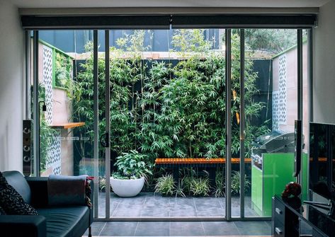 Closed Courtyard Ideas, Pocket Garden Design, Small Enclosed Courtyard Ideas, Pocket Garden Ideas, Lightwell Garden, Lightwell Ideas, Small Interior Garden, Pocket Garden Small Spaces, Enclosed Courtyard Ideas