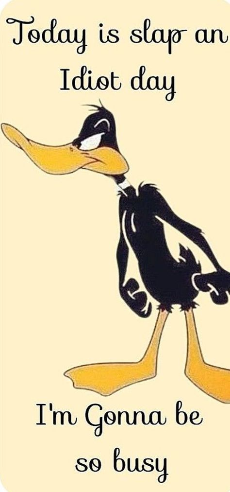 Daffy Duck Wallpapers, Duck Sayings, Cheap Shiplap, Daffy Duck Quotes, Clever Signs, Duck Quotes, Chicken Quotes, Transformation Quotes, Foghorn Leghorn