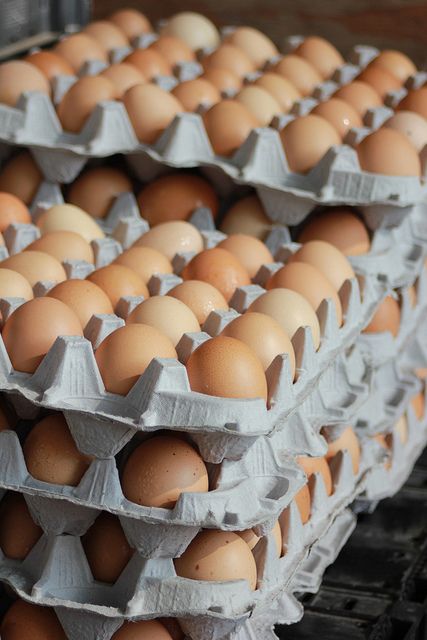 brown eggs by Latent Image Photography, via Flickr jacksonville farmers farmer market outdoor beaver street st fresh food vegetables fruit affordable healthy organic Farm Fresh Eggs Stand, Meat Food Styling, Farm Fresh Eggs Aesthetic, Farm Fresh Eggs Packaging, Farm Eggs For Sale, Just Egg, Filipino Street Food, Egg Pictures, Farmer Market