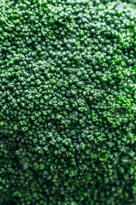 Broccoli Steaks With Garlic And Chilli Broccoli Aesthetic, Broccoli Photography, Healthy Salads Clean Eating, Broccoli Steaks, Salad Recipes With Chicken, Weekly Mantra, Halloumi Pasta, Charred Broccoli, Coffee And Walnut Cake