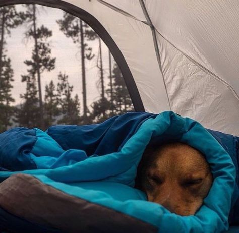 Zelt Camping, Handy Tools, Camping Aesthetic, Dog Camping, Winter Camping, Camping Gifts, Camping Life, Camping Trip, Go Camping