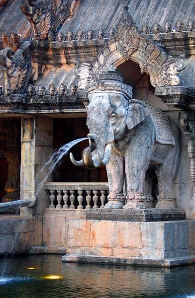 Elephant Fountain, Temple Interior, Water Spouts, Statue Fountain, Outdoor Fountains, India Architecture, Elephant Carving, Elephant Face, Diy Garden Fountains