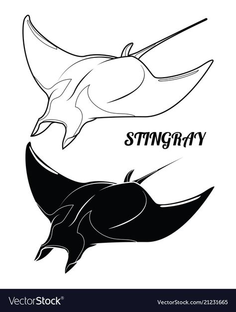 Stingray Outline, Stingray Silhouette, Stingray, Transparent Png, Adobe Illustrator, Stained Glass, White Background, Vector Images, Vector Free