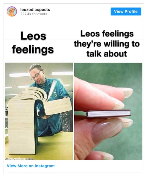 Leos will laugh over these Leo memes that perfectly capture Leo Season. Whether you're a Leo or dating a Leo guy or gal, you'll appreciate these memes about the most regal sign of the zodiac. #zodiac #leo #memes #humor Leos In Love, Leos Be Like Funny, Leo Zodiac Memes Funny, When Leo Has A Crush, Zodiac Sign Facts Leo, Funny Leo Quotes, Leo Zodiac Funny, Introverted Leo, Leo As A Person