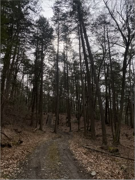 New York State Aesthetic, Wandering New York, Upstate Ny Aesthetic, Northeastern Gothic, Gloomy Scenery, Upstate New York Aesthetic Fall, Upstate New York Aesthetic, Ritual Aesthetic, Upstate New York Cottage