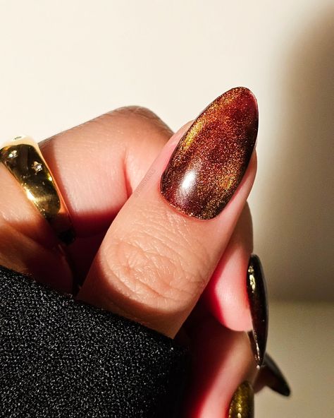 espresso velvet nails, are we liking brown for spring/summer? swipe for the vid! 🤎🌞 Ft. @gelcare.official Jelly Brown @dndgel Ember Enchantress 10 #magnetic #velvetnails #espresso #spring #cateyenails #pressons #grunge #retro #pinterestnails #90s #sodaonmylips #grungecore #velvetdynasty #torontonails #nailinspo #gelpolish #inbeautmag #nailstagram #springnails #brown #gelnails #brownnails #2024nails #ongles #uñas #gold #aesthetic Browns. Easy Velvet nails. Espresso. Press on nails. Magnet... Purple Velvet Nails, Velvet Nails, Gold Aesthetic, Cat Eye Nails, Brown Nails, Purple Velvet, Spring Nails, Gel Polish, Press On Nails