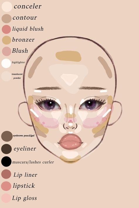 Makeup Placement Face Chart, Makeup For Face Type, Makeup Layout On Face, Where To Place Makeup On Face, Where To Put Makeup On Face, Makeup Placement Face, Makeup Map, Makeup Chart, Makeup Routine Guide