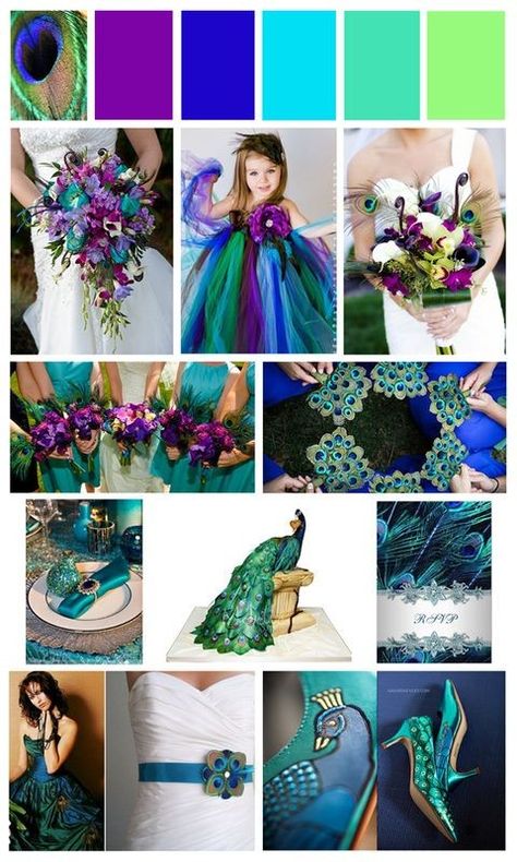 Not that I want a Peacock themed wedding but, I do like these colors. Peacock Color Dress, Peacock Wedding Colors, Peacock Wedding Inspiration, Peacock Wedding Ideas, Peacock Themed Wedding, Peacock Party, Peacock Wedding Theme, Peacock Colors, Peacock Theme