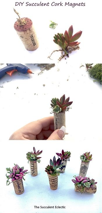 Cork Magnets Diy, Succulent Magnets, Diy Kitchen Gifts, Natural Christmas Ornaments, Cork Magnet, Cork Planters, Magnets Diy, Succulent Diy, Mini Planters