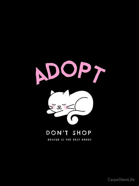 Adopt Don’t Shop, Cat Rescue Quotes, Animal Rescue Quotes, Rescue Quotes, Adopt Dont Shop, Cat Love Quotes, Baby Kitty, Ending Quotes, Cats Pictures