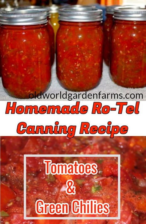 Diy Rotel Tomatoes, Homemade Canned Rotel, Diy Rotel Canning, Canning Rotel Tomatoes Recipes For, Rotel Recipe For Canning, Canning Tomatoes For Chili, Rotel For Canning, Homemade Rotel Canning, Canning Rotel Recipe