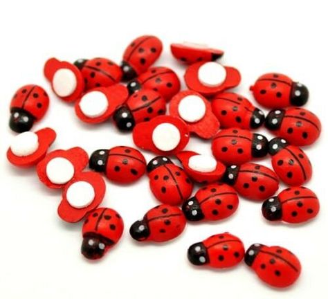 Painted Ladybug, Magnet Drawing, Ladybug Baby Shower, Toppers Diy, Ladybug Crafts, Wood Adhesive, Ladybug Party, Crafts For Adults, Lady Bugs