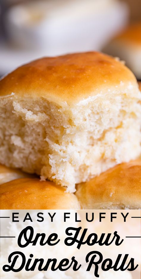 Easy Fluffy One Hour Dinner Rolls from The Food Charlatan. Super easy, fluffy dinner rolls done in ONE hour! And no instant yeast necessary, regular active dry yeast is what I use. These rolls are soft and pillowy and full of buttery flavor! This is my favorite recipe to make for dinner on a weeknight because it is so easy to put together! #rolls #dinnerrolls #easy #recipe #onehour #fromscratch #homemade #quick #1hour #soft #butter #fast #smallbatch #fluffy #yeast #howtomake #stepbystep #simple One Hour Dinner Rolls, Garlic Knots Recipe, Fluffy Dinner Rolls, Cinnamon Honey Butter, The Food Charlatan, Active Dry Yeast, Food Charlatan, Baking Fun, Homemade Dinner Rolls