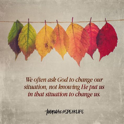 We often ask God to change our situation, not knowing He put us in that situation to change us. Tobymac Speak Life, Love God Love People, Toby Mac, God Love, Speak Life, Faith Inspiration, A Father, Verse Quotes, Christian Inspiration