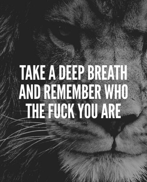 Remember who you are people Lion Quotes, Warrior Quotes, Short Inspirational Quotes, Badass Quotes, Take A Deep Breath, Deep Breath, A Lion, The Words, Great Quotes