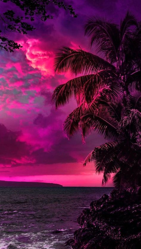 Neon Nature Wallpaper, Neon Palm Tree Wallpaper, Purple Beach Sunset, Exotic Paintings, Pretty Wallpapers Tumblr, Beautiful Ocean Pictures, Pretty Phone Wallpaper, Night Scenery, Pretty Landscapes