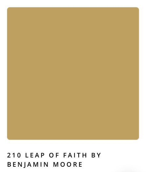 Bm Leap Of Faith, Benjamin Moore Leap Of Faith, Tapestry Gold Benjamin Moore, Leap Of Faith Benjamin Moore, Ancestry Scrapbook, Colorful Doors, Modern Farmhouse Ideas, Creole Cottage, Home Paint Color