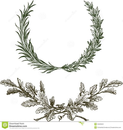 Oak Illustration, Oak Leaf Tattoos, Tree Branch Tattoo, Wreath Tattoo, Laurel Branch, Laurel Tree, Branch Tattoo, Branch Vector, Knee Tattoo