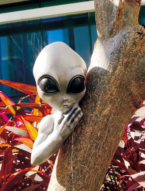 PRICES MAY VARY. 14" tall alien tree peeker yard decoration Made of high quality durable plastic. Suitable for indoor and outdoor use. Surprise family, friends and guests when an unexpected character emerges from your backyard tree Easily hang on trees, poles, beams, walls, and many other surfaces to create an eerie effect Spooky addition to any Halloween scene or display Alien Halloween Yard Decorations, Halloween Tree Decorations Outdoor, Alien Halloween Decorations, Alien Decorations, Tall Alien, Alien Tree, Outdoor Tree Decorations, Outside Halloween Decorations, Scary Alien