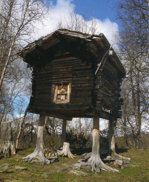 One of the oldest buildings in Hattfjelldal municipality in Nordland, Norway. This building was used as a storage room for foods and other sensitive household articles. The structure itself is elevated above the ground in order to keep animals from entering, as well as to prevent the spread of mold.  While most farmers no longer use pole houses for storage, some choose to use them as guest houses and/or cabins to live in. Baba Yaga House, Baba Jaga, Unusual Buildings, Nordland, Baba Yaga, Old Building, Nature Travel, Log Cabin, Old House