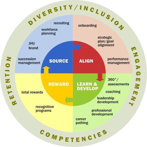 #hrt  functions.. Roles of a HR manager... Hr Infographic, Human Resources Career, Business And Management, Human Resource Development, Talent Development, Data Visualisation, Leadership Management, Work Skills, Human Resource