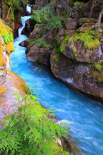 Glacier National Park Montana, Big River, Areas Verdes, Big Sky Country, Breathtaking Places, Nature Water, Glacier National, Glacier National Park, Pretty Places