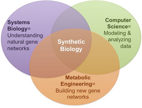 Synthetic biology promises a greener future Professional Development Activities, Synthetic Biology, Computational Biology, Disruptive Technology, Data Network, Research Writing, Development Activities, Science Biology, Nanotechnology