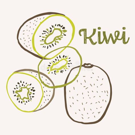 Kiwi Line Art, Kiwi Fruit Drawing, Fruits Character, Kiwi Drawing, Kiwi Illustration, Fruit Line Art, Kiwi Tattoo, Fruit Logo Design Ideas, Colorful Line Art