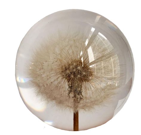 Image about aesthetic in another dimension// by teething Glass Ball, In The Middle, The Middle, Dandelion, White Background, Glass, White