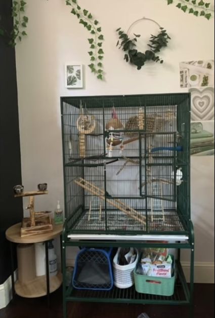 Cockatiel Bird Cage Setup, Cockatiel Cage Setup Ideas, Aesthetic Bird Cage, Bird Cage Aesthetic, Bird Setup, Bird Cage Setup, Budgie Cage Setup, Bird Cage Ideas, Conure Cage