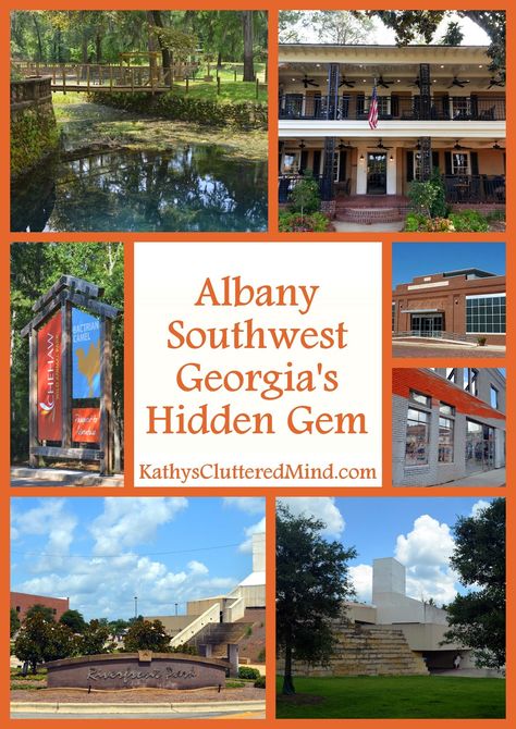 Albany - Southwest Georgia's Hidden Gem Albany - Southwest Georgia's Hidden Gem Find out where to stay, eat and have fun #Georgia #VisitAlbanyGA #Travel Albany Ga Things To Do, Georgia Must See, Georgia Tourist Attractions, Albany Georgia, Georgia Hikes, Cluttered Mind, Explore Georgia, Writing Essays, Beautiful Vacation Spots