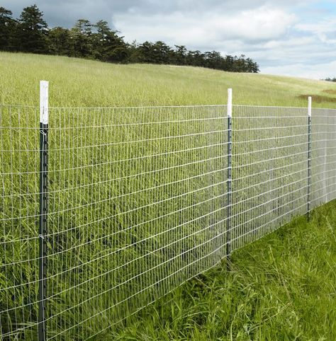 Temporary Fence For Dogs, Cheap Privacy Fence, Diy Dog Fence, Fence Balcony, Diy Gate, Fence Design Ideas, Balcony Fence, Chicken Wire Fence, Chicken Fence