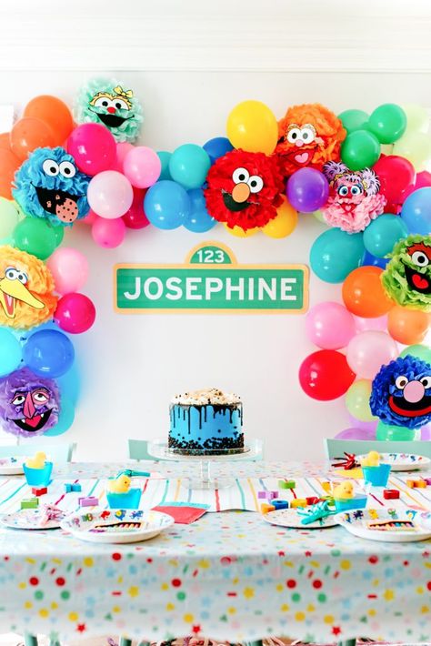 2nd Sesame Street Birthday Party, Sesame Street 2nd Birthday Party Ideas, Sesame Street Birthday Ideas, Sesame Street Birthday Party Boy, Sesame Themed Birthday Party, Simple Elmo Birthday Party, Two Sesame Street, Sesame Street Birthday Party Ideas 3rd, 1st Birthday Sesame Street